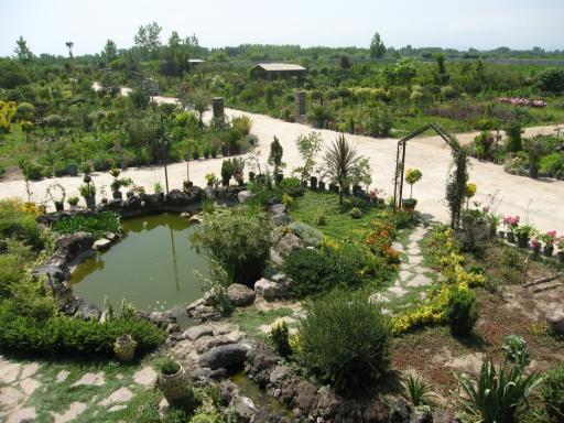 عکس سایت کشت گل و گیاه پونا