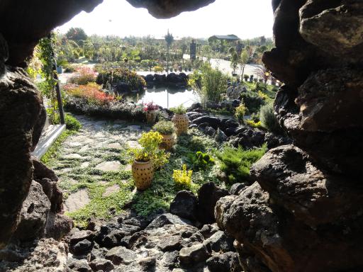 عکس سایت کشت گل و گیاه پونا