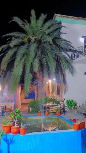 عکس کافه رستوران عمارت آموی