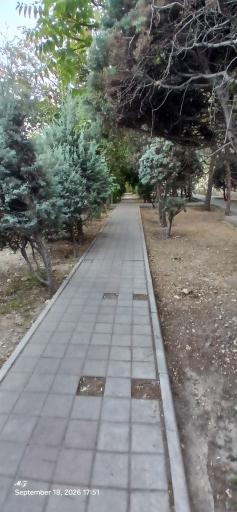 عکس بوستان سپیدار