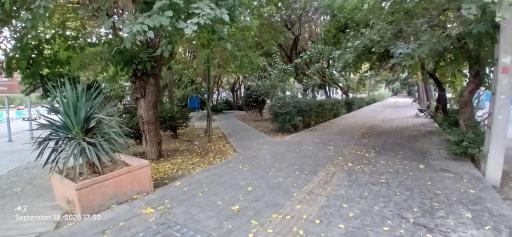 عکس بوستان سپیدار