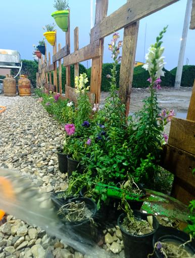 عکس خانه پاستا آبادان