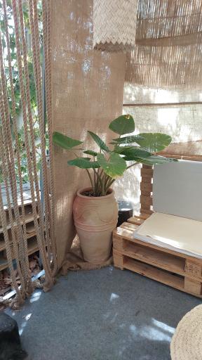 عکس کافه طلا