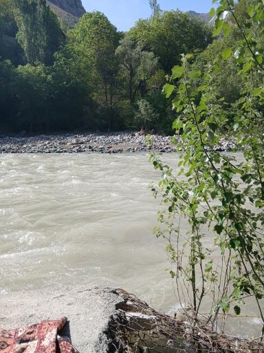 عکس باغ پل خواب