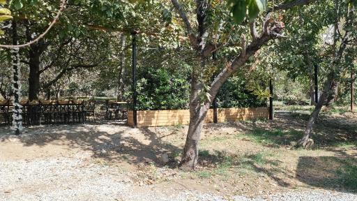 عکس کافه سیتو