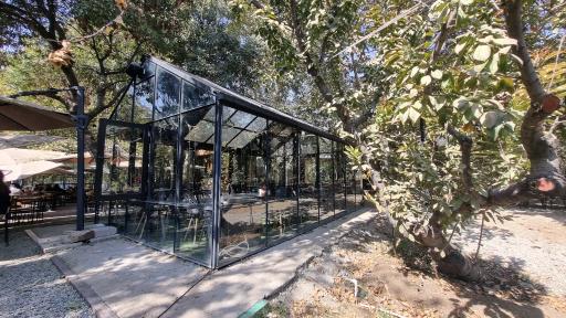 عکس کافه سیتو