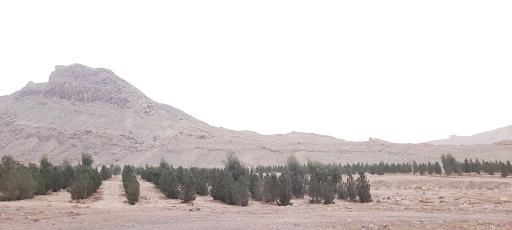 عکس بوستان کوهستانی مرجعیت