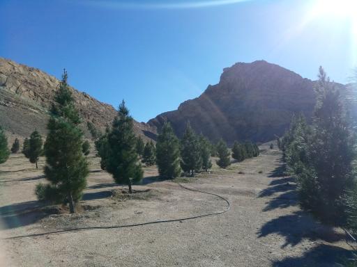 عکس بوستان کوهستانی مرجعیت