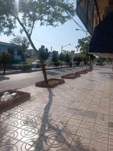 عکس گلدیس 19