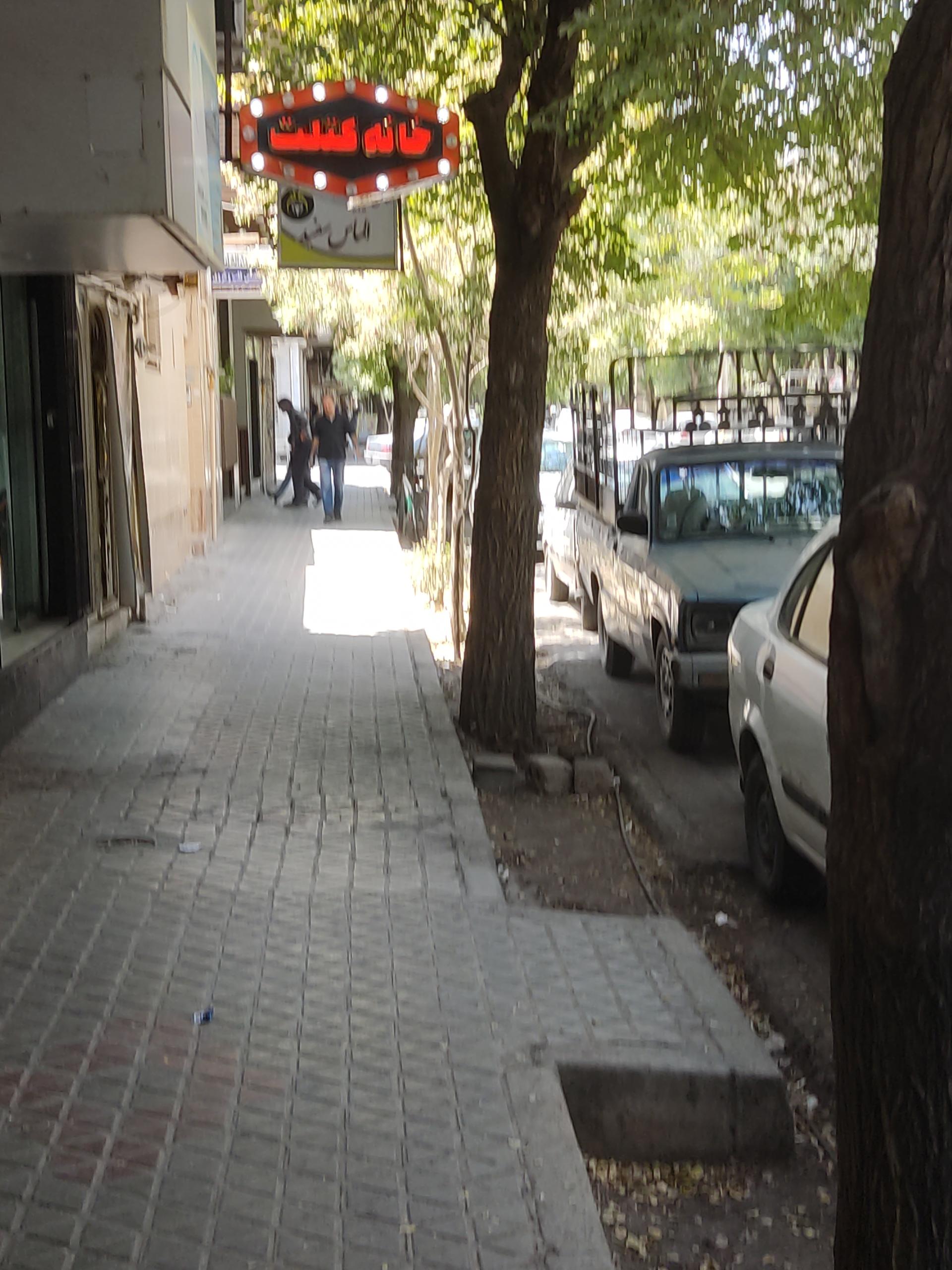 عکس خانه کتلت