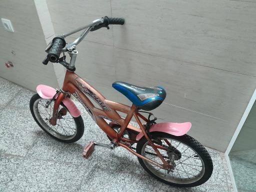 عکس دوچرخه فروشی امام رضا(ع)