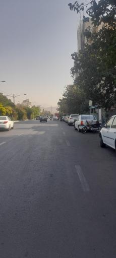 عکس شاهد