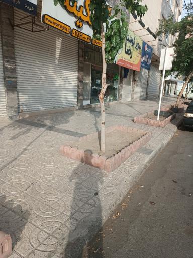 عکس گلدیس 19