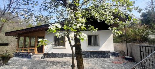 عکس اقامتگاه کلبه دو خواب جنگلی باغ صفارود