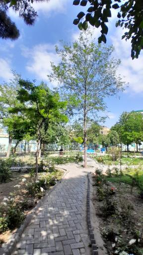 عکس بوستان گلشید