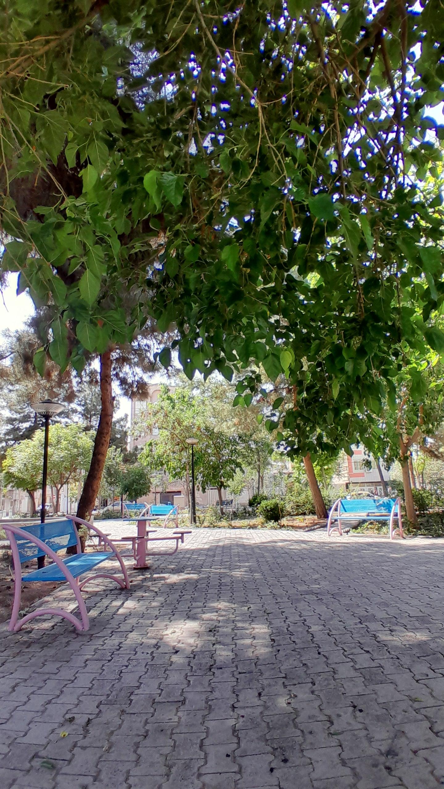 عکس بوستان گلشید