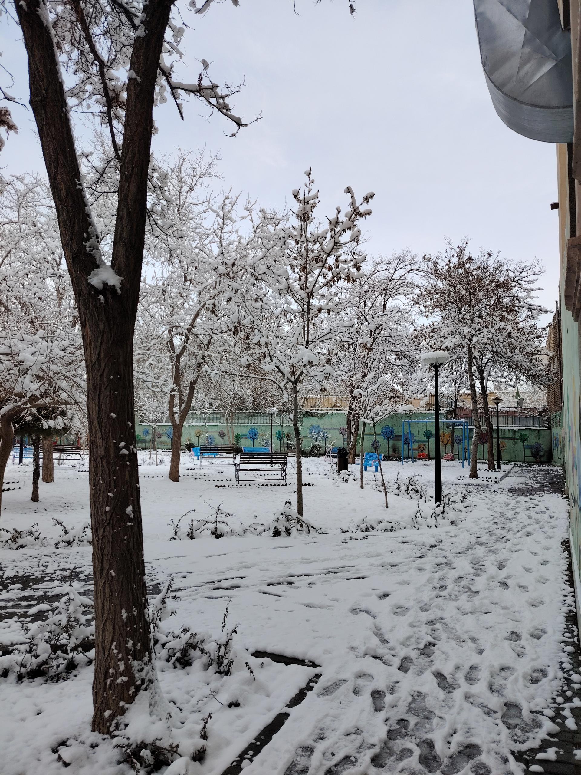 عکس بوستان گلشید