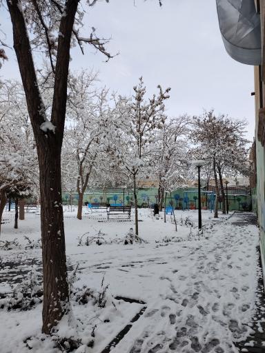 عکس بوستان گلشید