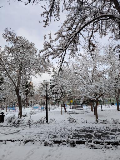 عکس بوستان گلشید