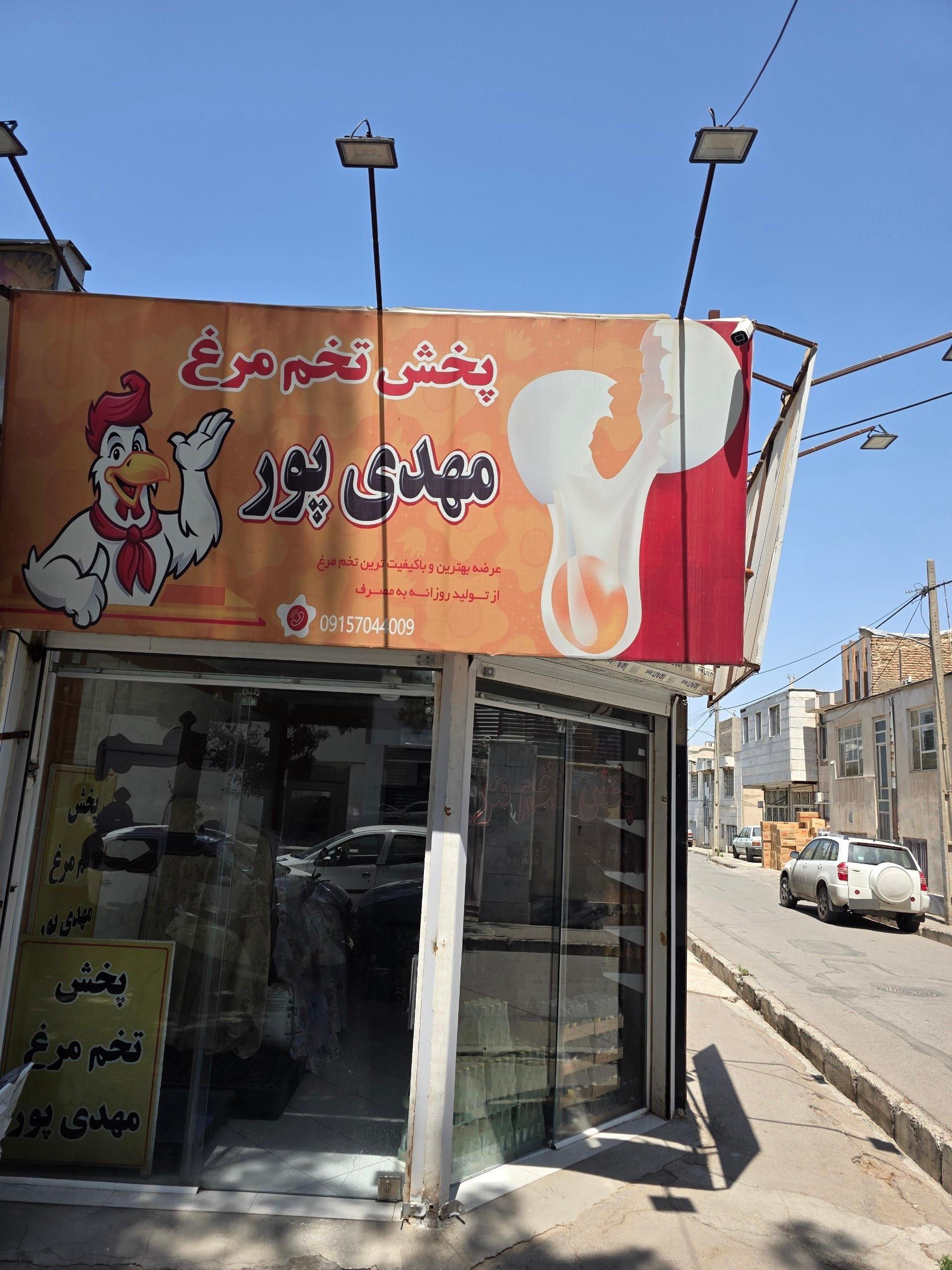 عکس پخش تخم‌ مرغ مهدی‌ زاده