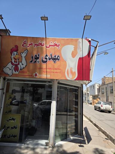 عکس پخش تخم‌مرغ مهدی‌زاده