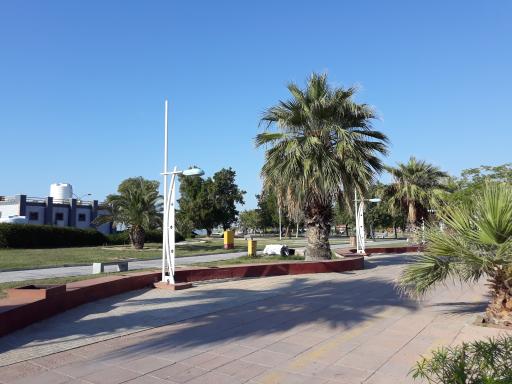 عکس پارک شادی