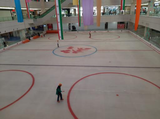 عکس پاتیناژ پدیده شاندیز (اسکیت روی یخ)