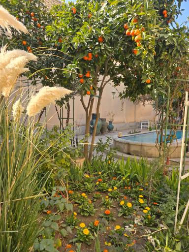 عکس خانه تاریخی بخردی