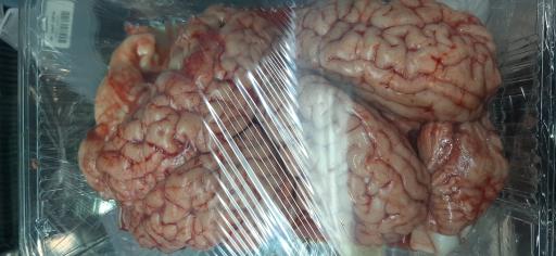 عکس سوپر پروتئین مستانی