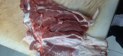 عکس سوپر پروتئین مستانی