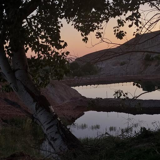 عکس دره پرستوها