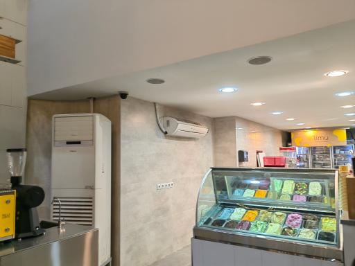 عکس آبمیوه و بستنی الیمو