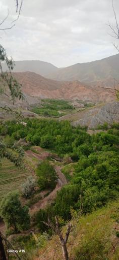 عکس دره پرستوها