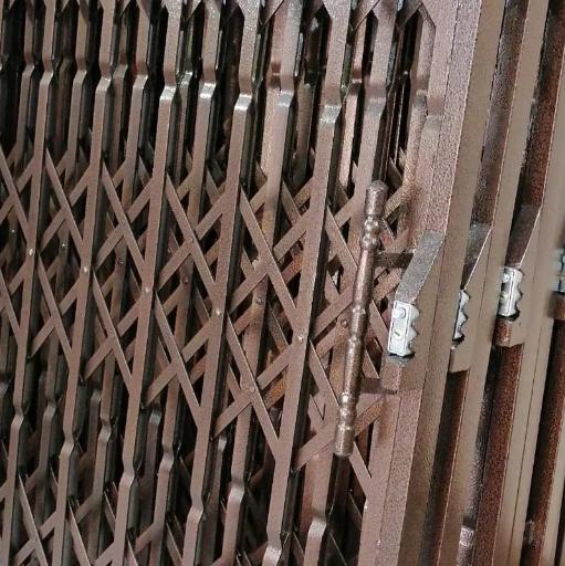 عکس حفاظ آکاردئونی پارسیان