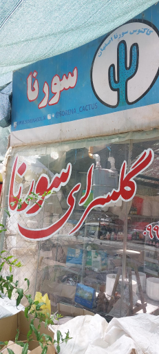 عکس گلخانه کاکتوس سورنا