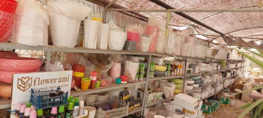 عکس گلخانه کاکتوس سورنا