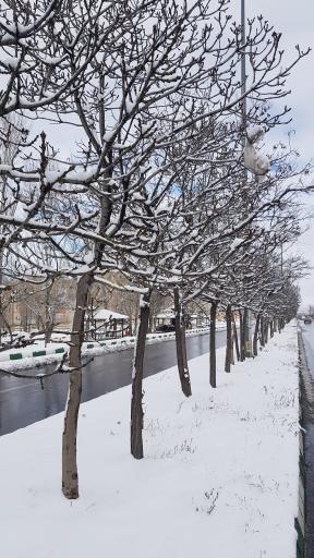 عکس پارک ولایت