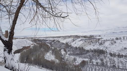 عکس پارک ولایت