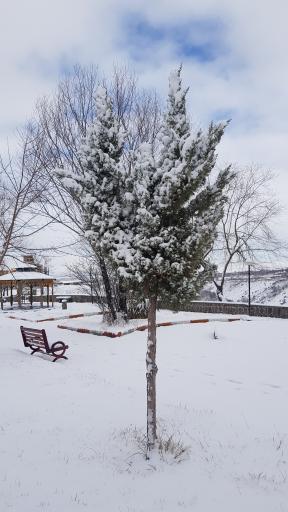 عکس پارک ولایت