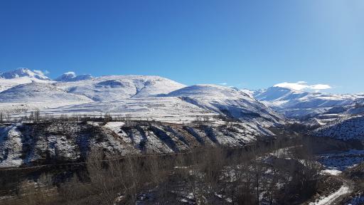 عکس پارک ولایت