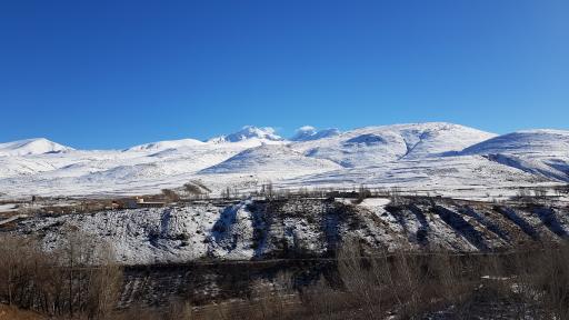 عکس پارک ولایت