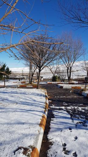 عکس پارک ولایت