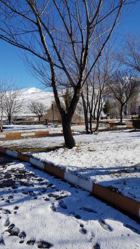 عکس پارک ولایت