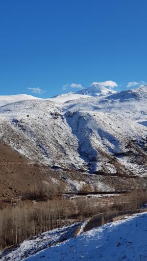 عکس پارک ولایت