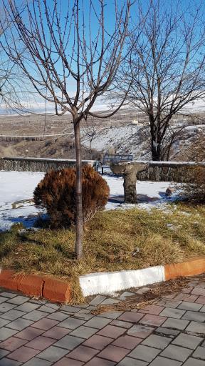 عکس پارک ولایت