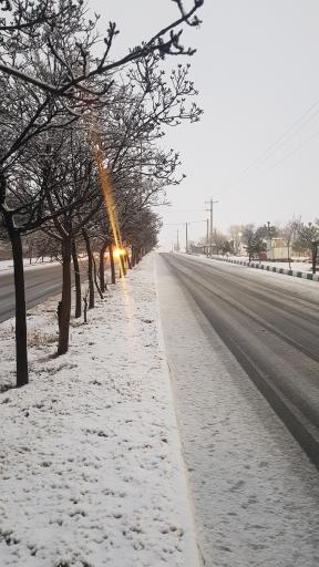 عکس پارک ولایت