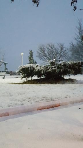 عکس پارک ولایت