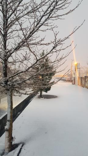 عکس پارک ولایت