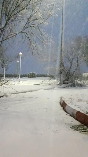 عکس پارک ولایت