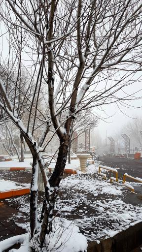 عکس پارک ولایت